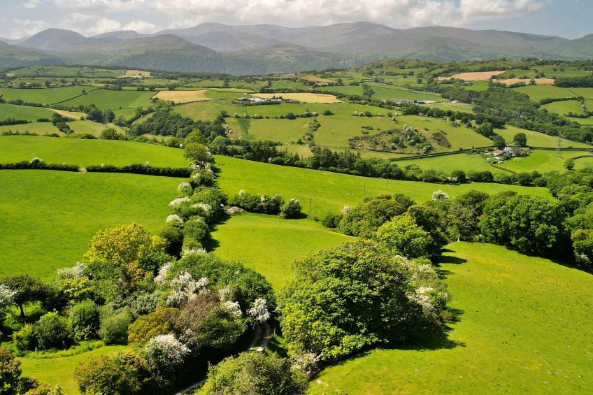 Buzzards View - foto 6