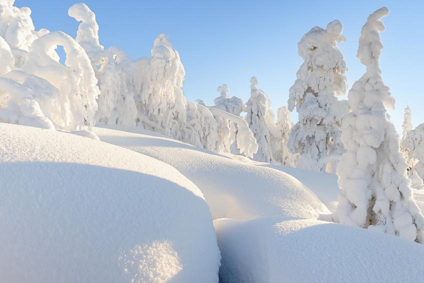 Loma-saaga 3 - foto 40