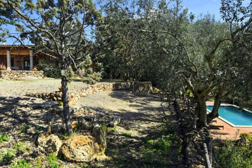 Finca in idyllischer Umgebung Pool & Klima 8 Pers - foto 5