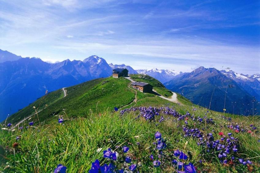 Seetal Residenz - foto 16