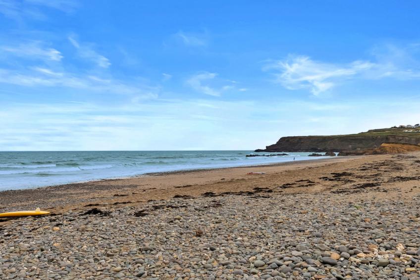 Sea Thrift at Widemouth Bay - foto 8