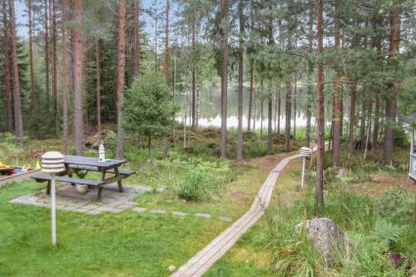 Kuikka - foto 26