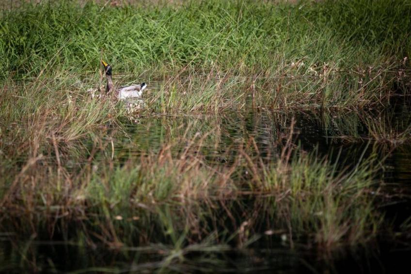 Chantemerle - foto 36