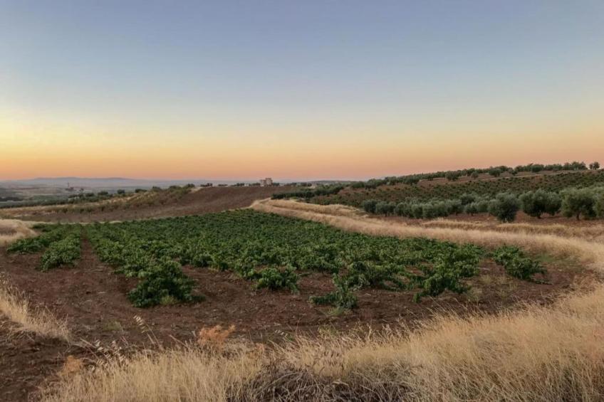 Villapark Ehzerburg 2 - foto 24