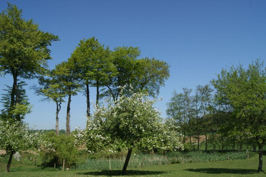 Charmante normannische Ferienwohnung Les chataigniers 2 Zimmer - foto 30