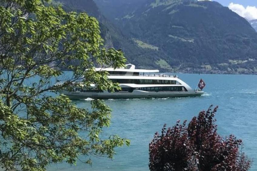 Villa Seelisberg mit Jacuzzi und Panoramablick - foto 42