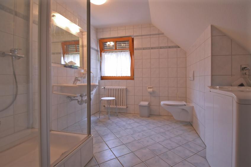 Im Rheintal - foto 6
