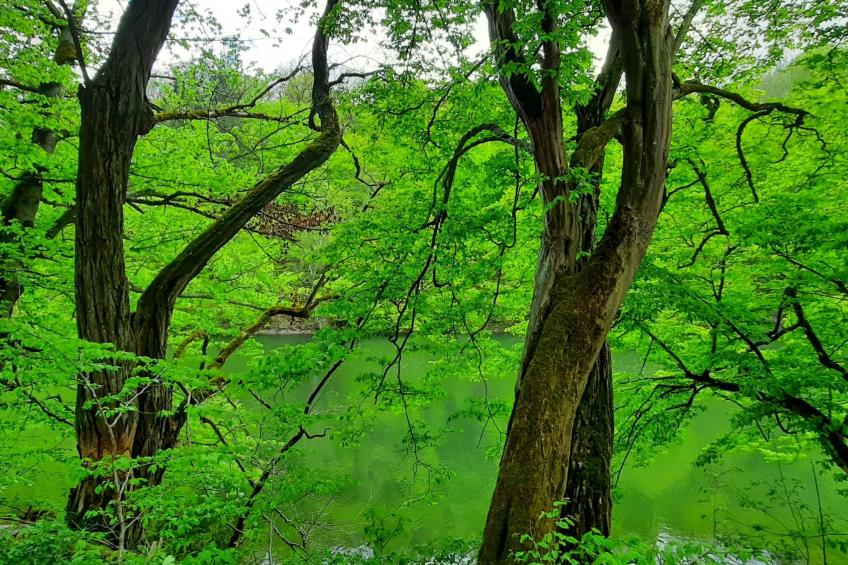 Mit Liebe ausgestattetes Haus im Naturpark - foto 35