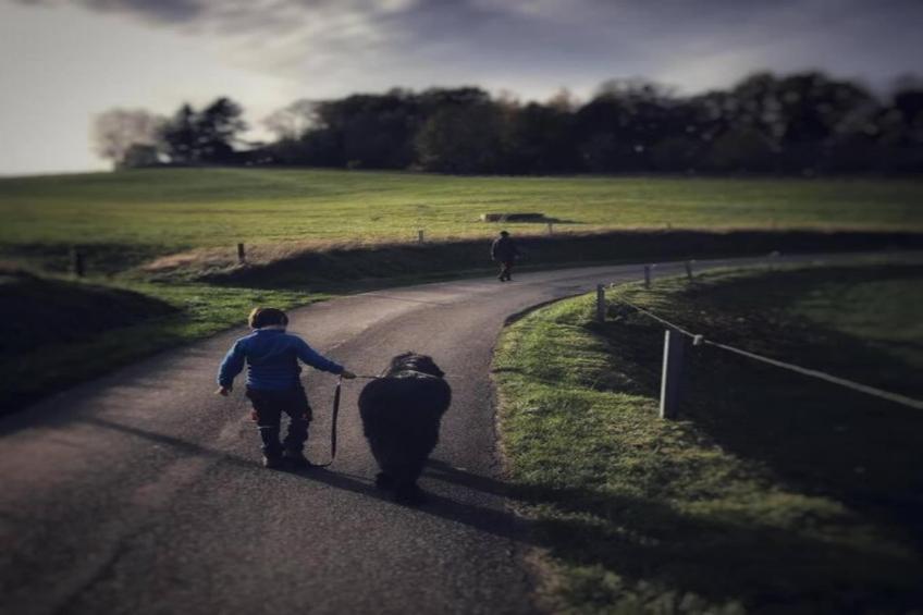 La Maison au Ruisseau - foto 26