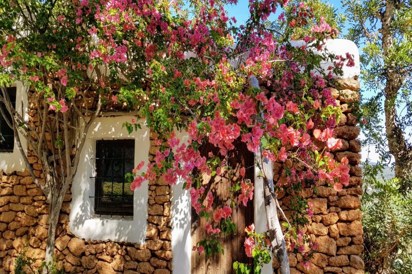 Finca Planetas - foto 51