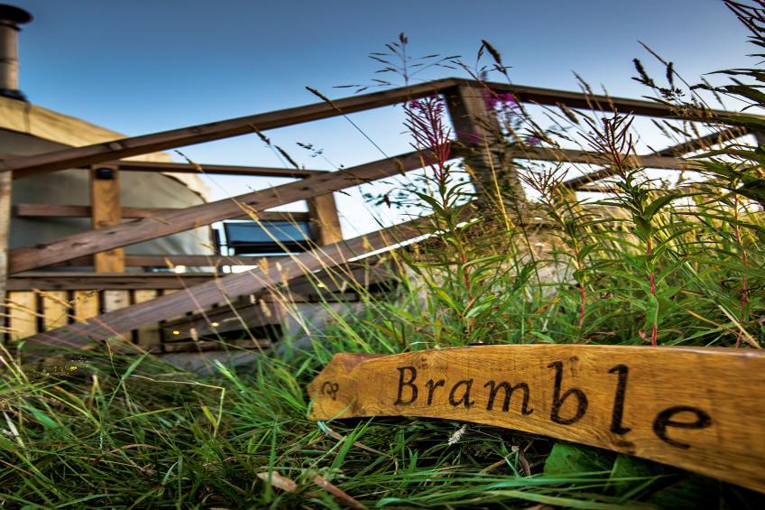 Bramble Yurt - foto 18