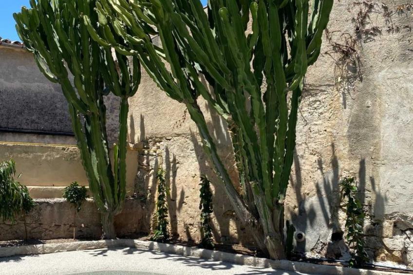Villa El León de Sineu - foto 4