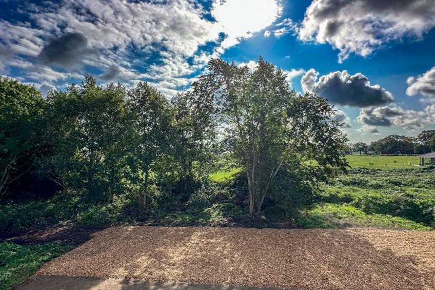 Boddenblick Klausdorf Am Nationalpark - foto 4