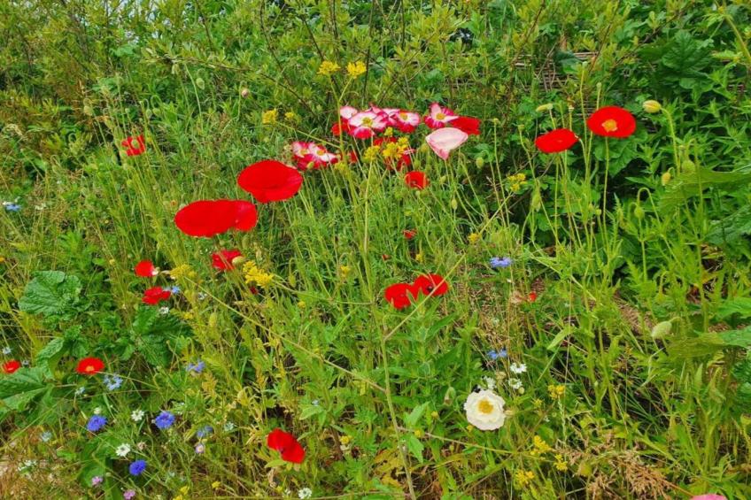 Little Dunley - Acorn Cottage - foto 40