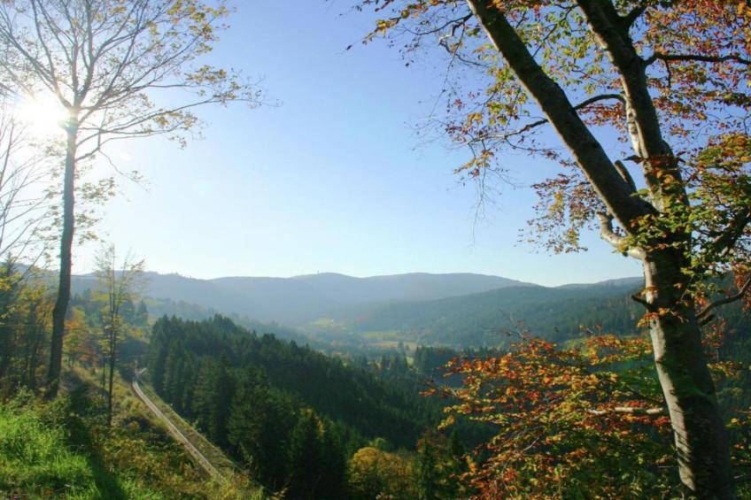 Schwarzwaldhaus Pferdeklause - foto 36