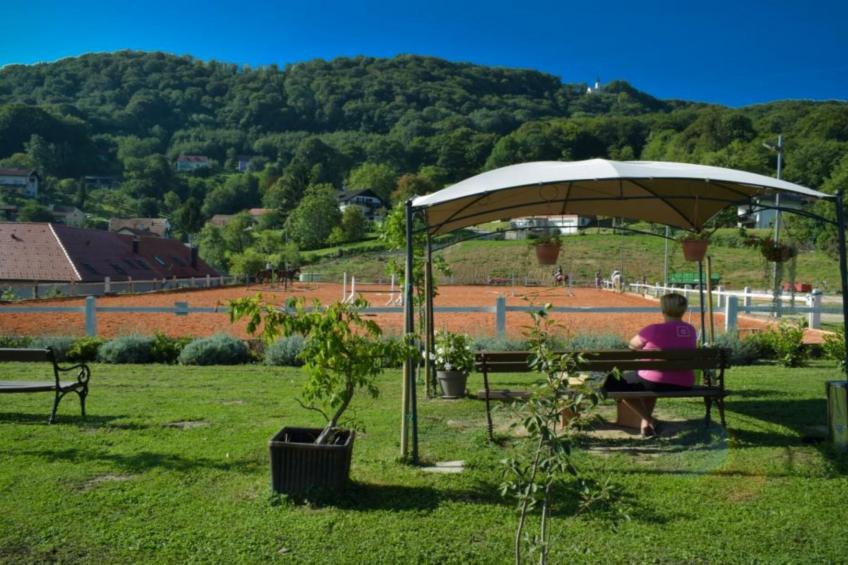 Zevnik Quiet Retreat with Stunning Views and Equestrian Activities - One Bedroom Apartment - foto 26