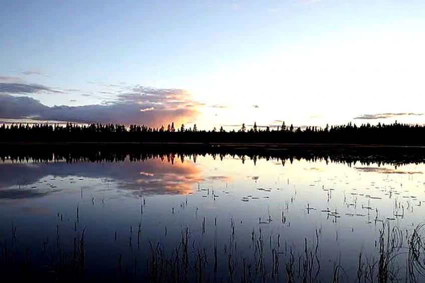 am Wald mit Kaminofen und Veranda - foto 10
