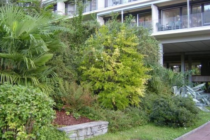 Freie Sicht auf See und Berge - foto 3