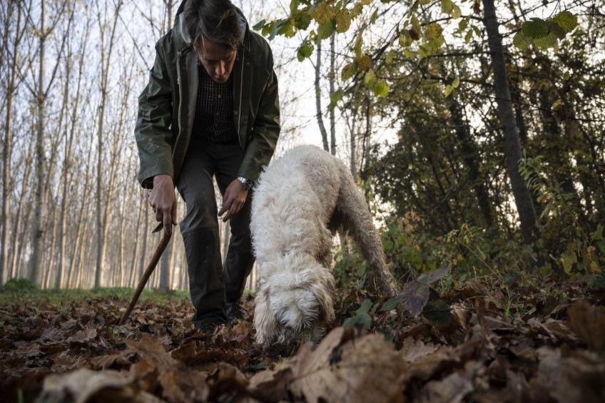 "Salzkristalle - foto 25