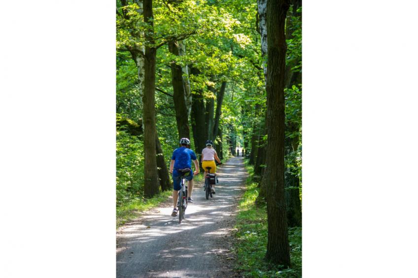 Hikers' Cabin - foto 12