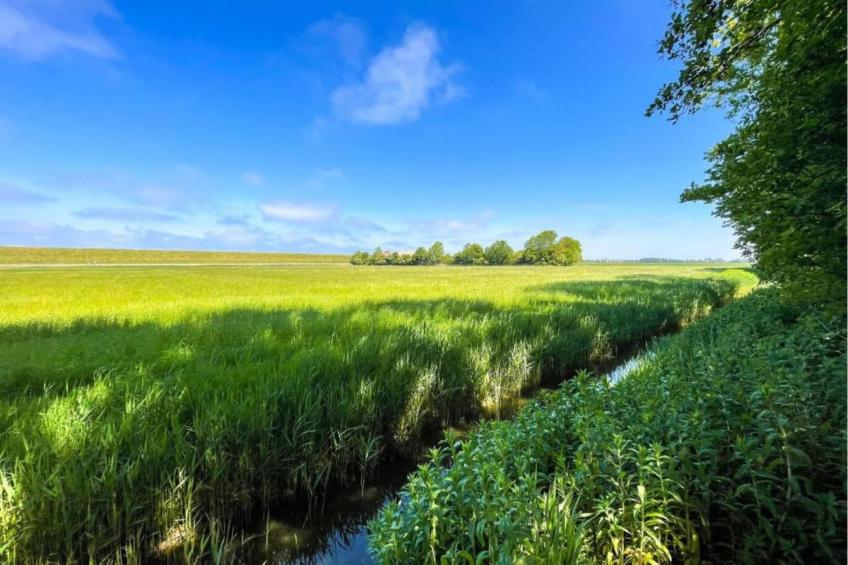 4-persoons bungalow Sondel 37 - foto 37