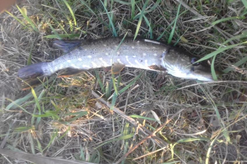 Blockhaus mit eigenem See - foto 14