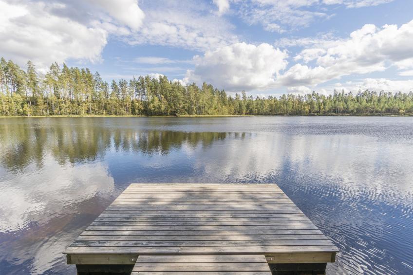 Valkealammi - foto 24