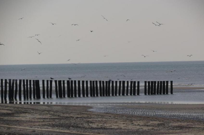 Strandvilla 30 - foto 30