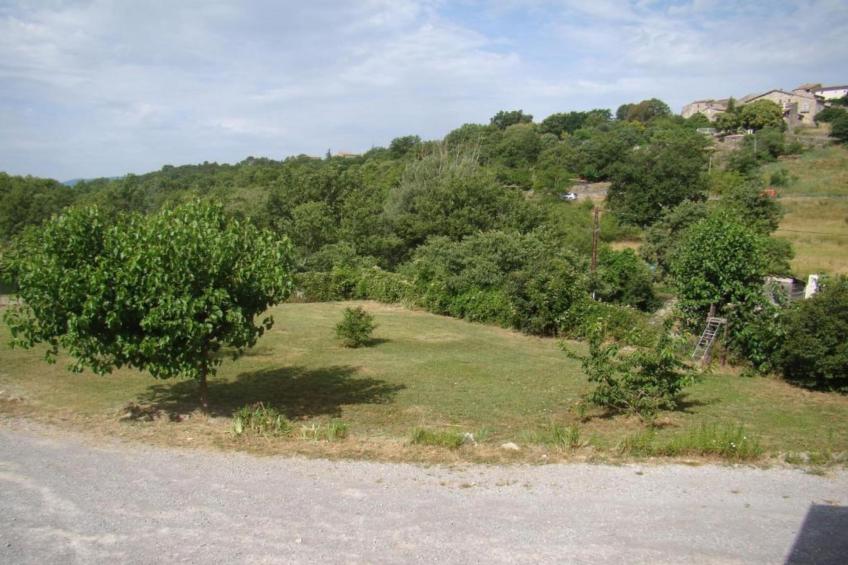 Coccinelles - foto 29