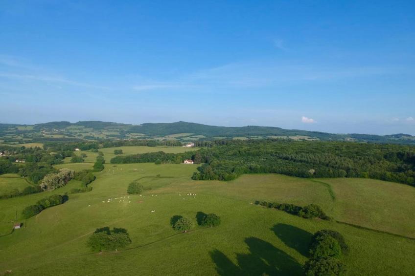 Maison Ferdinand - foto 35