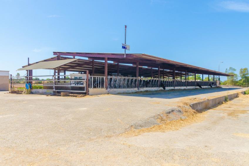 Sa Caseta De Ses Vaques.son Covas - foto 29