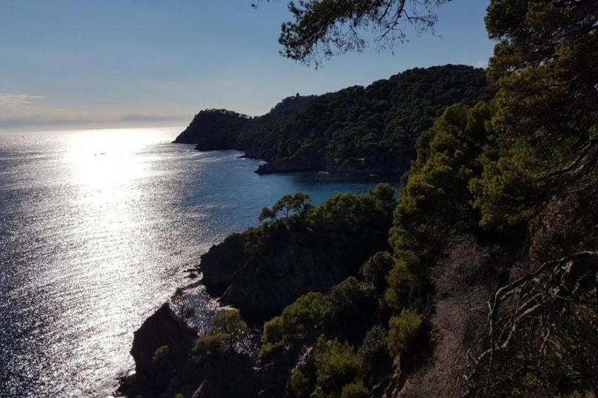 Le Riviera 4 - foto 38