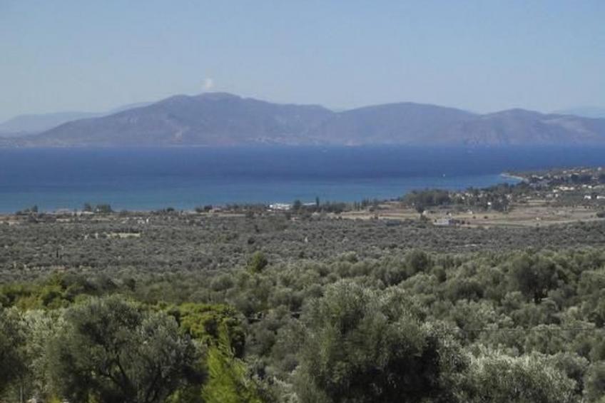 Panoramablick Evia - foto 17