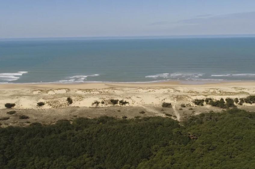 La Maison Pinède - foto 21