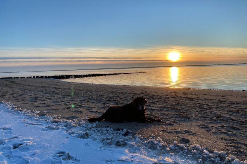 für 5 Personen  + 1 Kind ca. 180 m² in Nieblum, Norddeutschland (Nordseekü - foto 13