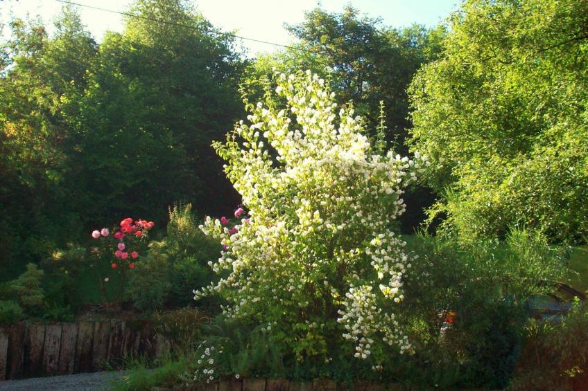 Les Muguets - foto 36