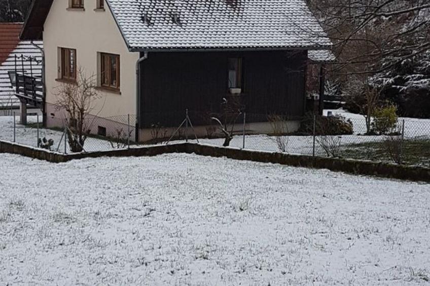 Haus Vosges in Breitenbach - foto 45