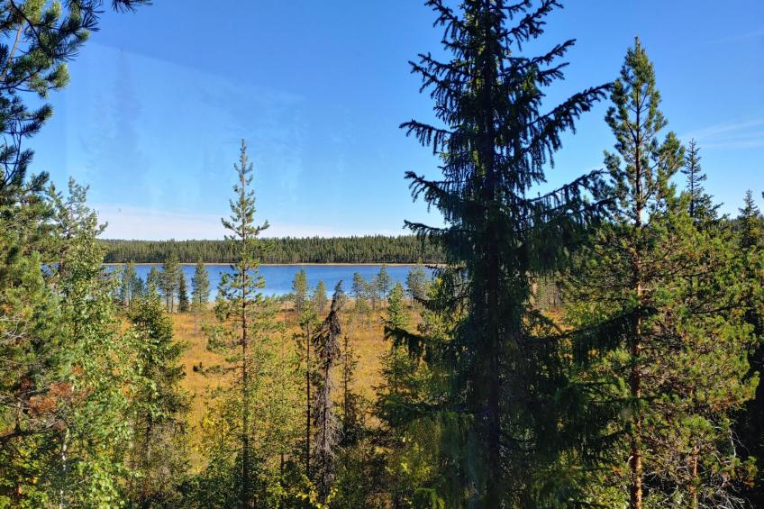 Aurora Lodge - foto 9