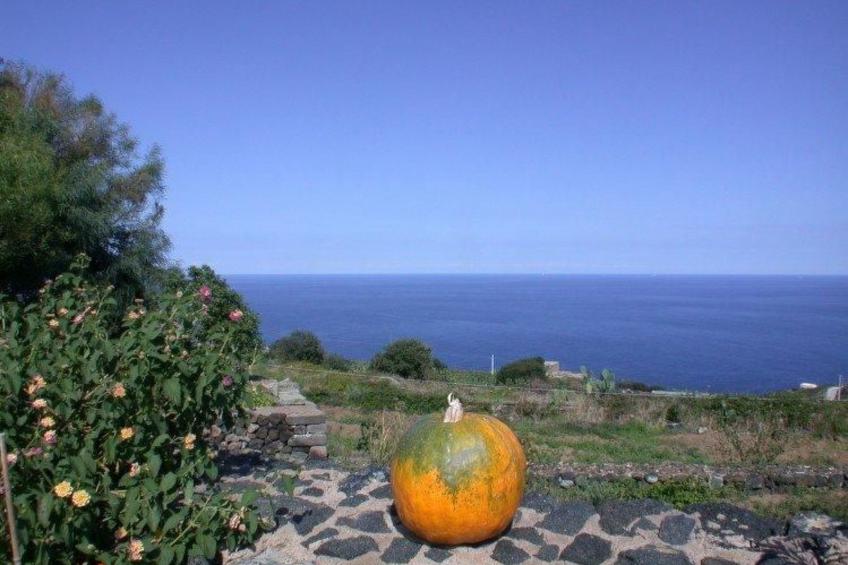 Wohnung 'Alba5' mit Wasserblick - foto 8