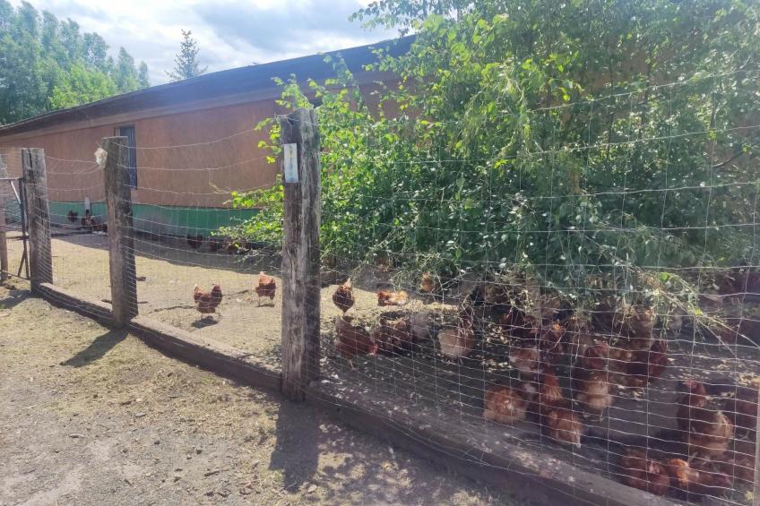 am Hofladen Hellendorf - Sächsische Schweiz - foto 13