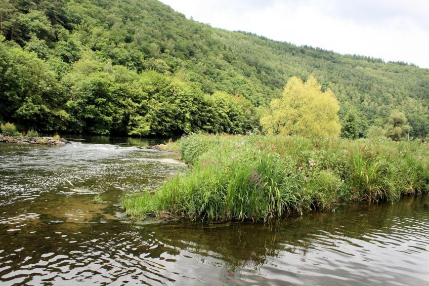 Au Coeur d'Alle - Triple Room with Bathroom - foto 27