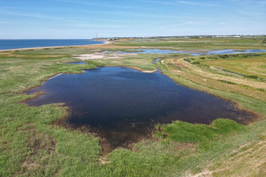 BF-4VMZH - foto 34