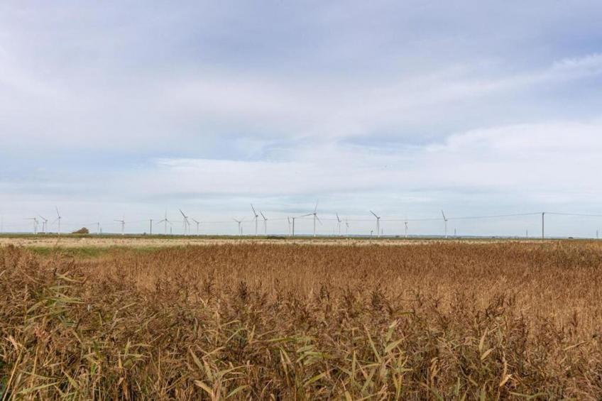 Rainbow Petty - foto 31