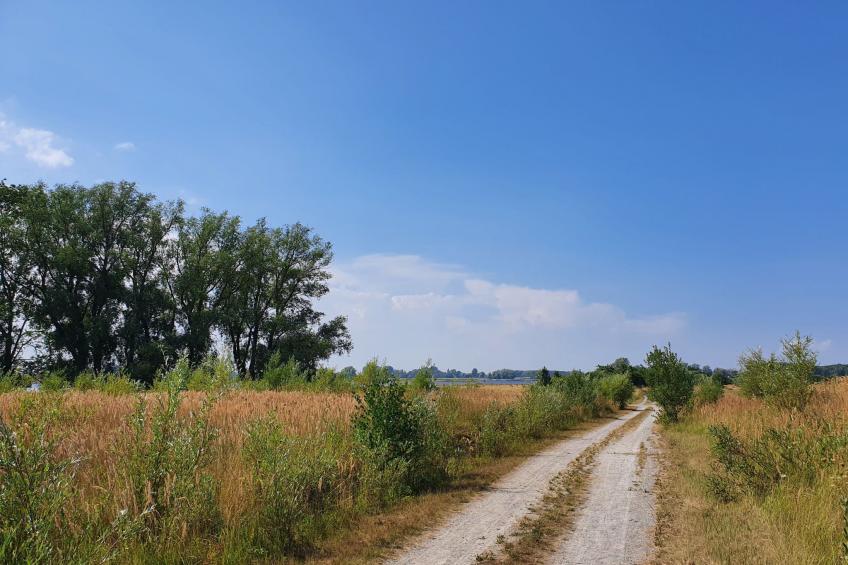 in Mellnitz mit Großem Garten - foto 37