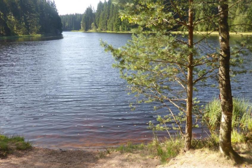 Gretelhaus - foto 21