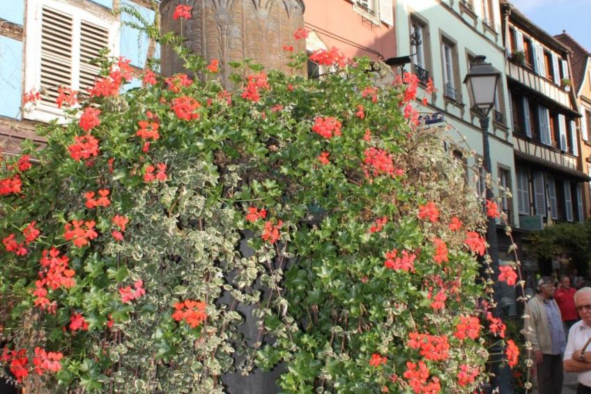 Fachwerkhaus "la maison de vacances" " - foto 44