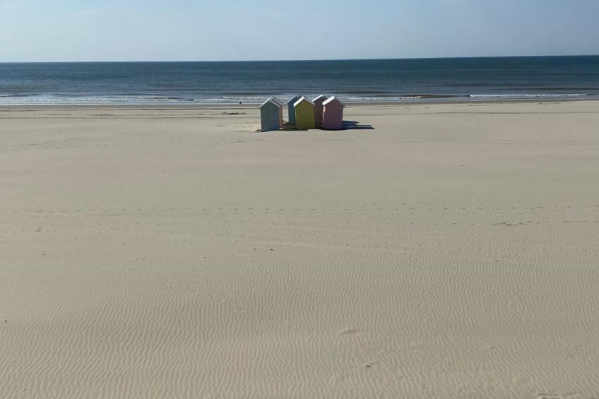 Vacances à la mer pour se ressourcer - foto 12