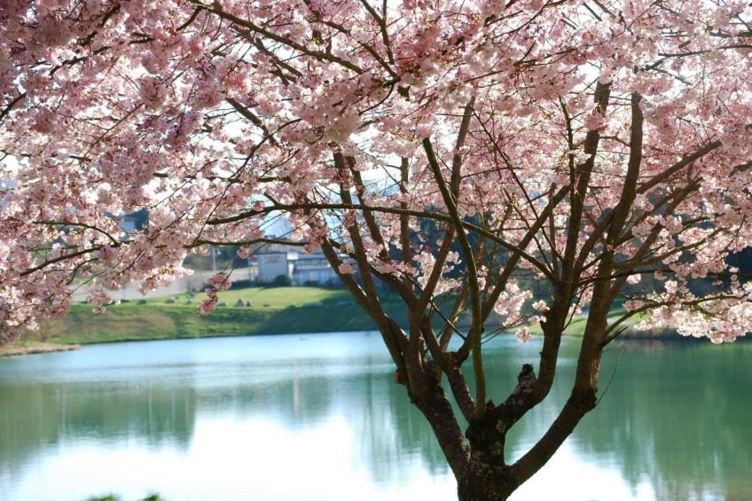 Terres de France - Appart'Hotel le Splendid - foto 6