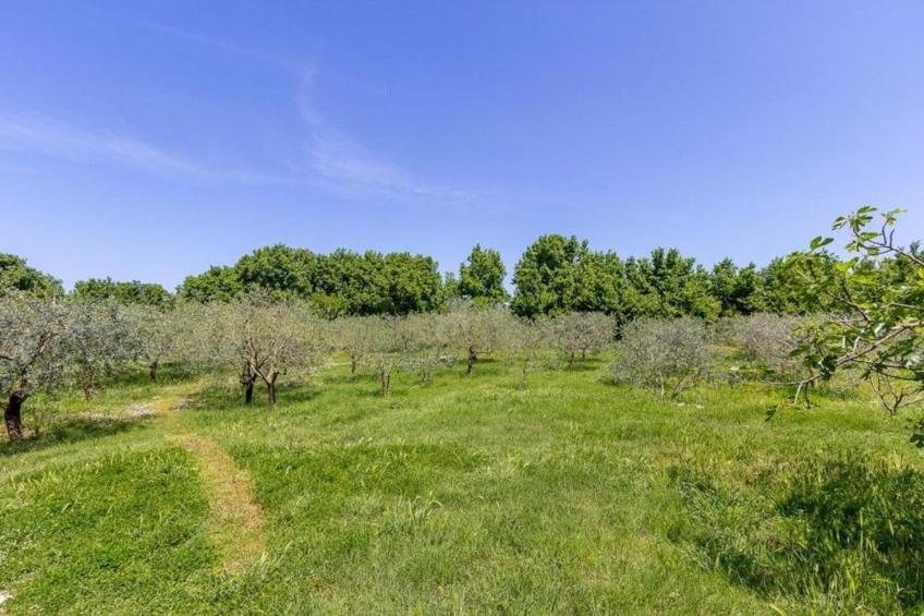 Kajfes A5 - One Bedroom Apartment with Terrace - foto 23