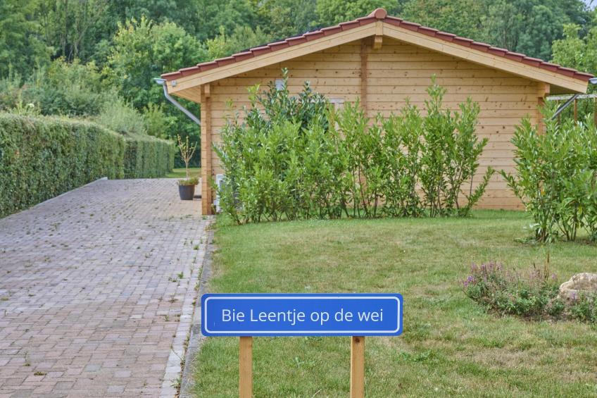 Bie Leentje op de Wei - foto 37